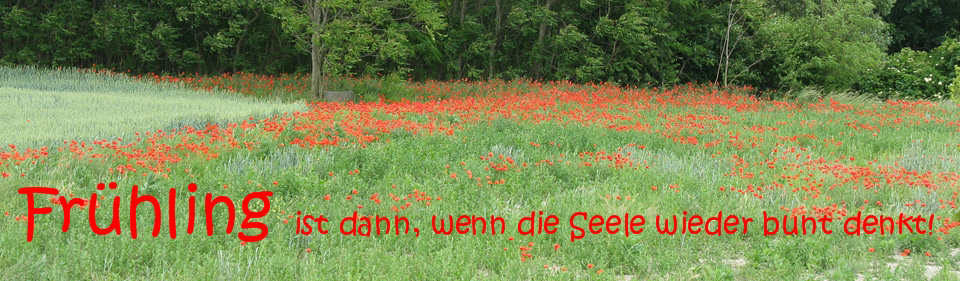 Frühling ist dann, wenn die Seele wieder bunt denkt!